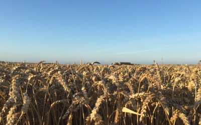 Arable Outlook 2018